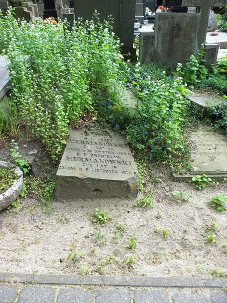 Zdjęcie grobu: Józef Hermanowski