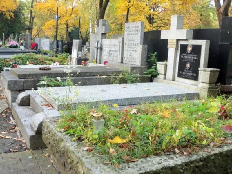 Zdjęcie grobu Rolisława Irena Strzelecka (1)