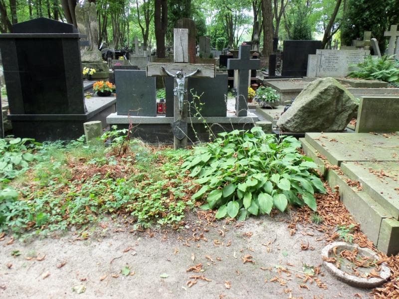 Zdjęcie grobu: Szymonek Marszał(...)