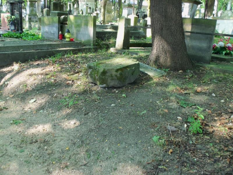 Zdjęcie grobu Pole Grobowe (kołakowscy) (1)