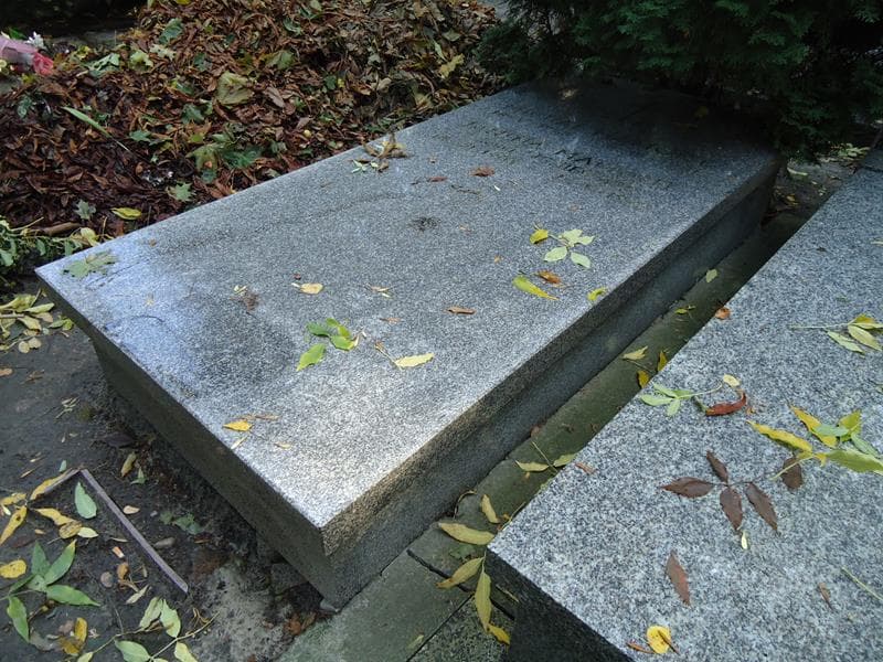 Zdjęcie grobu Michał Mamont (2)