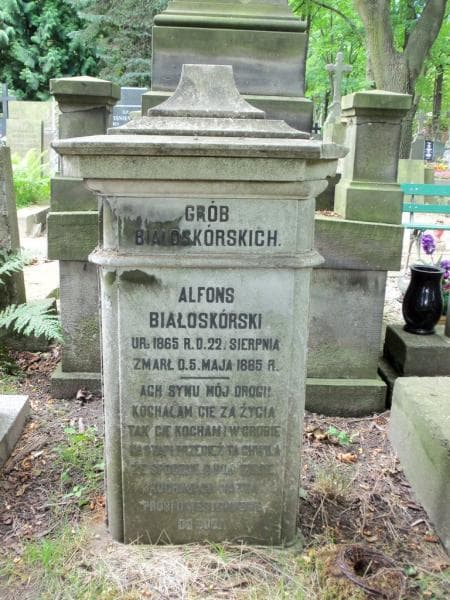 Zdjęcie grobu Alfons Białoskórski (1)