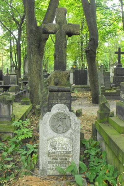 Zdjęcie grobu Franciszek Pszczółkowski (2)