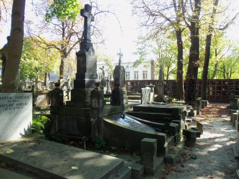 Zdjęcie grobu Szczepan Jankowski (1)