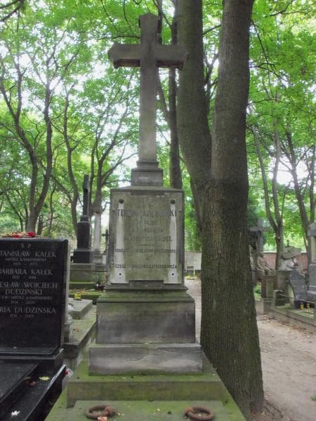 Zdjęcie grobu Teodor Tafiłowski (2)
