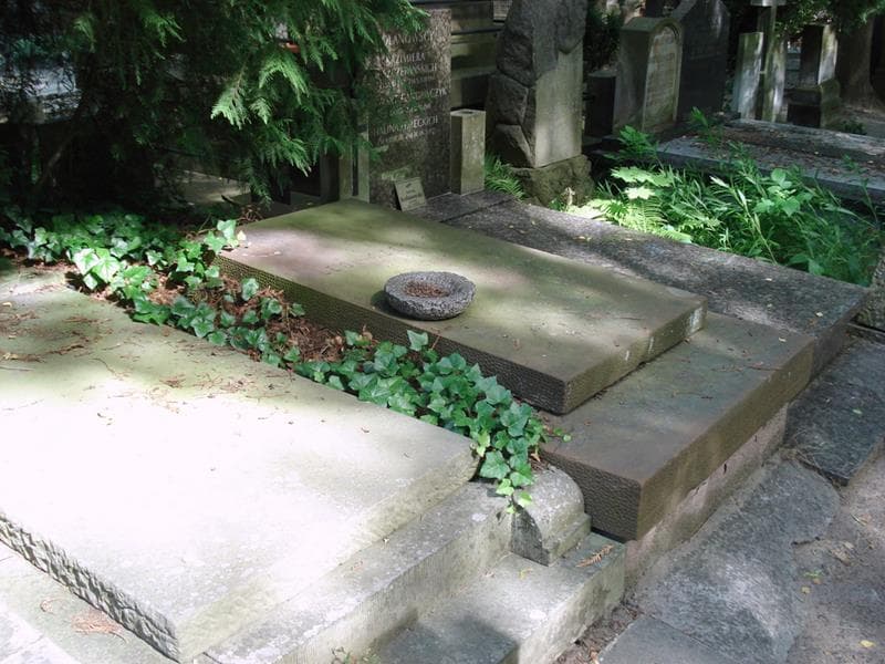 Zdjęcie grobu Leon Czeszer (2)