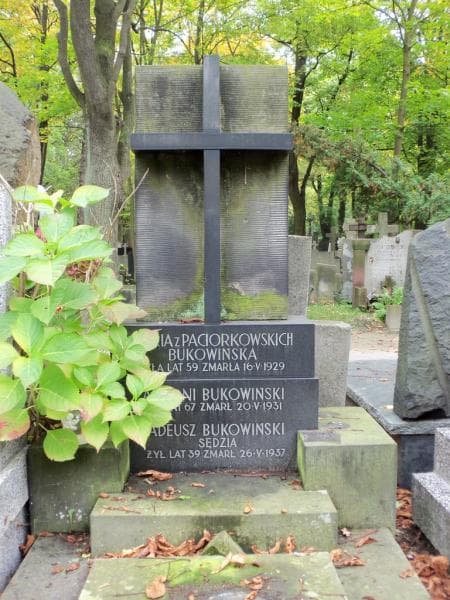 Zdjęcie grobu Tadeusz Bukowiński (2)