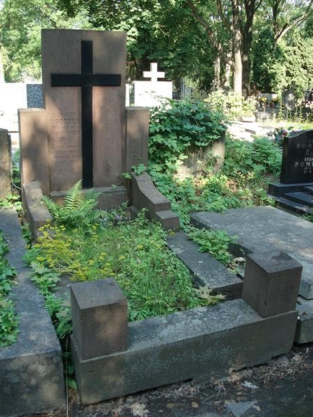 Zdjęcie grobu Stanisław Wrzosek (1)