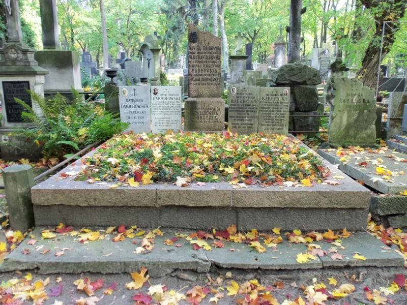 Zdjęcie grobu: Rozalia Żubrzycka