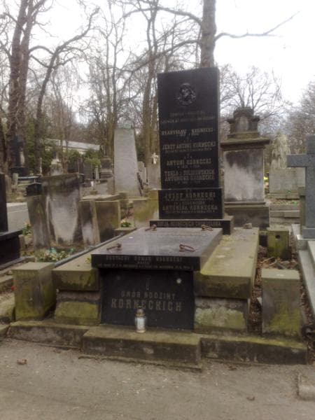 Zdjęcie grobu: Zofja Chorzelska