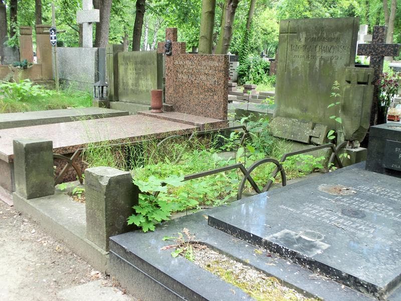 Zdjęcie grobu Jadwiga Chądzyńska (1)