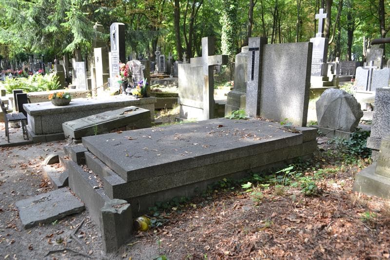Zdjęcie grobu: Henryk Pawłowski