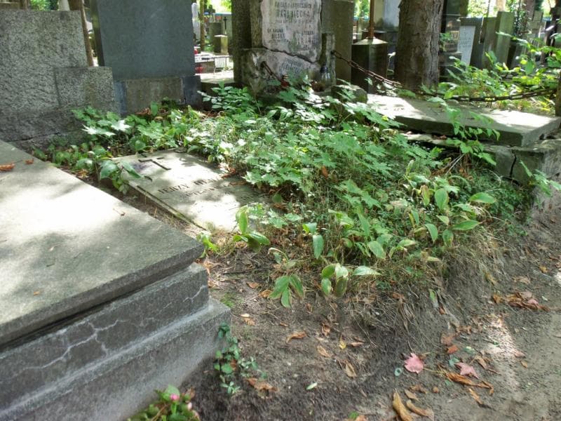 Zdjęcie grobu Jerzy Henzel (1)