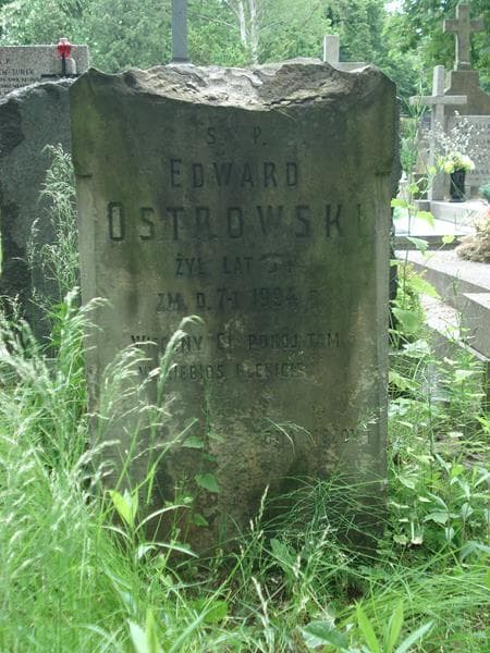 Zdjęcie grobu Edward Ostrowski (2)