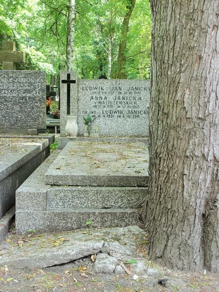 Zdjęcie grobu: Ludwik Janicki