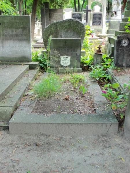 Zdjęcie grobu: Zofia Apenceller