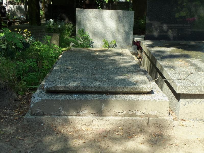 Zdjęcie grobu: Leopold Jesionek