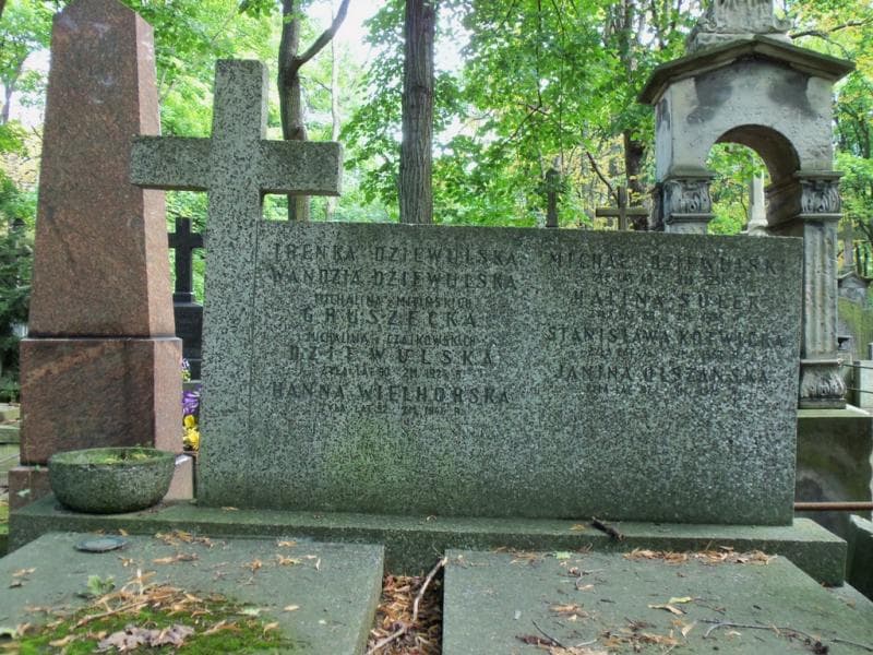 Zdjęcie grobu Janina Olszańska (2)