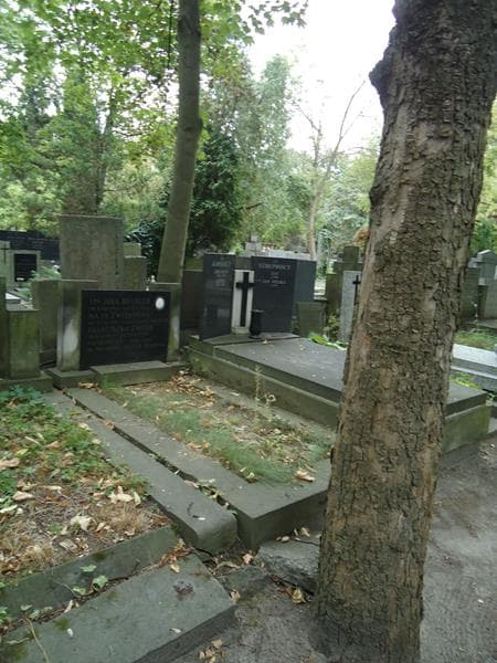 Zdjęcie grobu Jola Beutler (1)