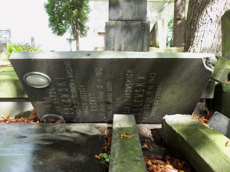 Zdjęcie grobu Teodozja Cieślewska (2)