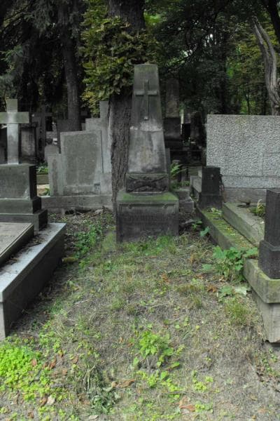 Zdjęcie grobu: Wincenty Trybulski