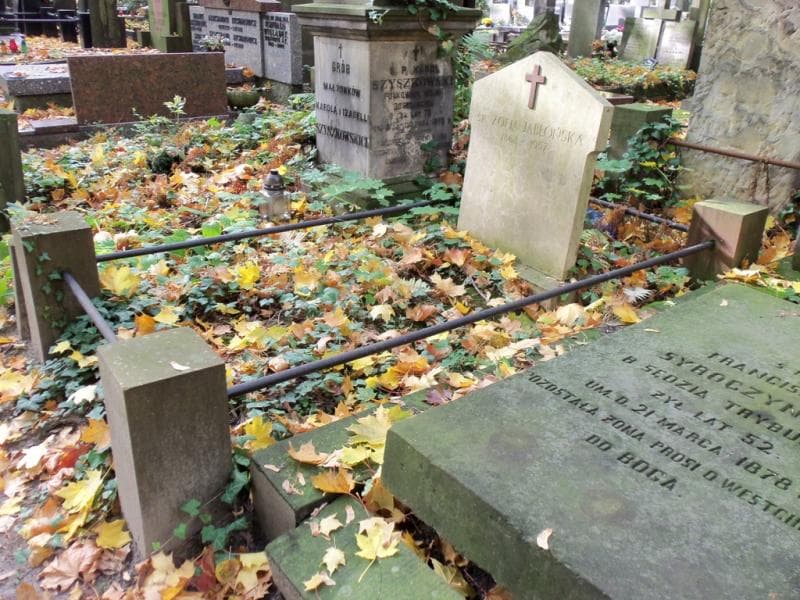 Zdjęcie grobu Zofia Jabłońska (1)