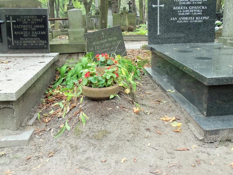 Zdjęcie grobu: Władysław Wiktor Von Ziegern-Korn