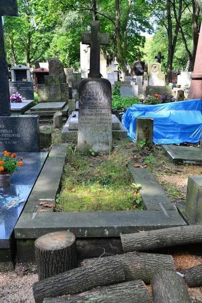 Zdjęcie grobu Kazimiera Zenowicz (1)