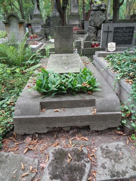 Zdjęcie grobu Weronika Ulawska (1)