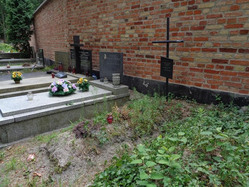 Zdjęcie grobu: Edward Kulesza
