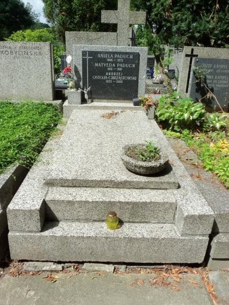 Zdjęcie grobu Andrzej Ostoja-Chrząstowski (1)