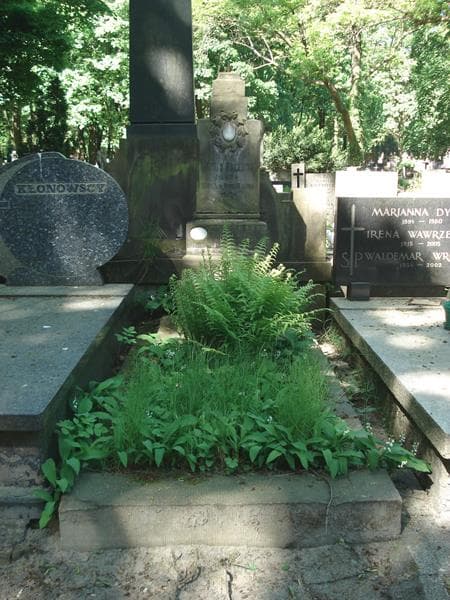 Zdjęcie grobu: Józef Fox