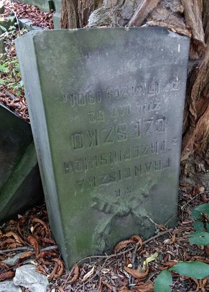 Zdjęcie grobu Franciszka Czeszko (2)
