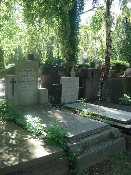 Zdjęcie grobu Stanisław Cyganowski (1)