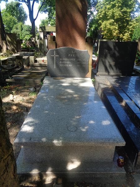 Zdjęcie grobu Stanisław Aleksander Pfeil (1)