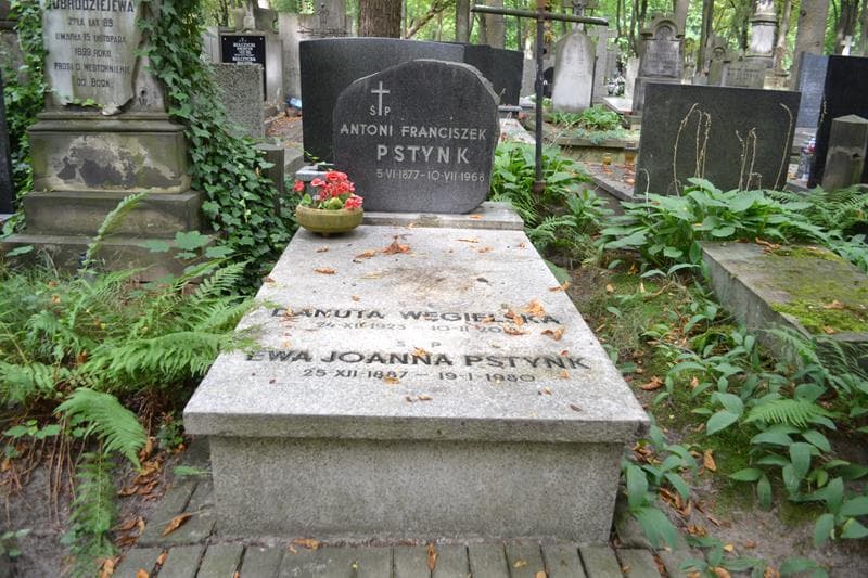 Zdjęcie grobu Ewa Joanna Pstynk (1)