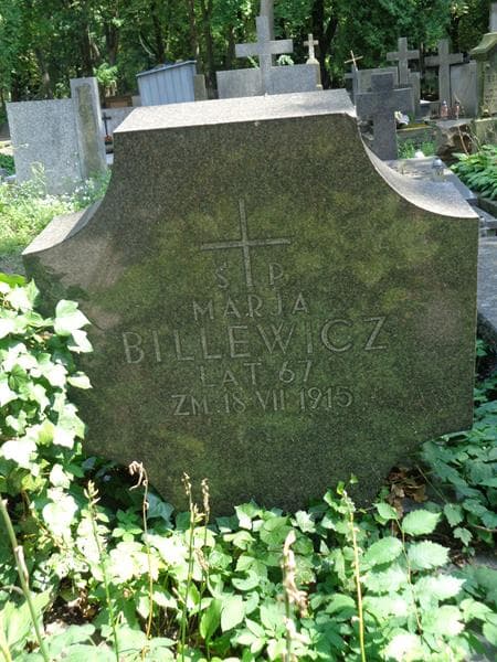 Zdjęcie grobu Marja Billewicz (2)