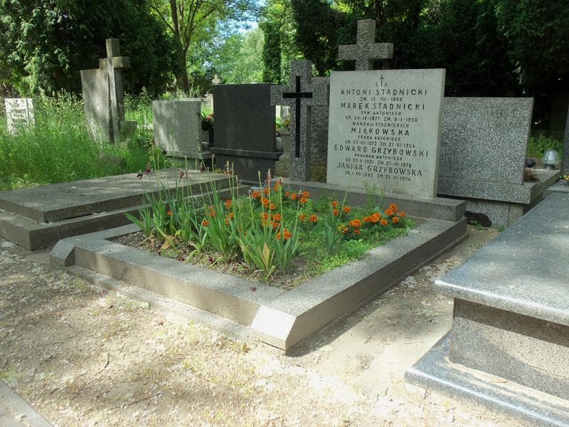 Zdjęcie grobu Edward Grzybowski (1)