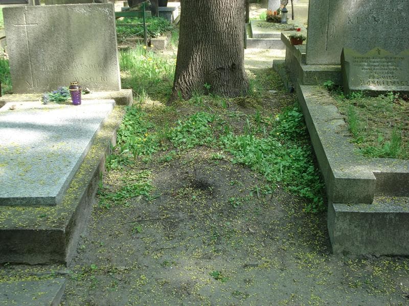 Zdjęcie grobu: Pole Grobowe