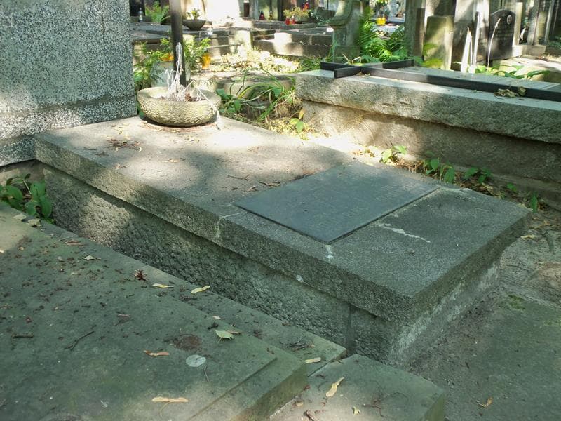 Zdjęcie grobu Maksymilian Wollenberg (2)