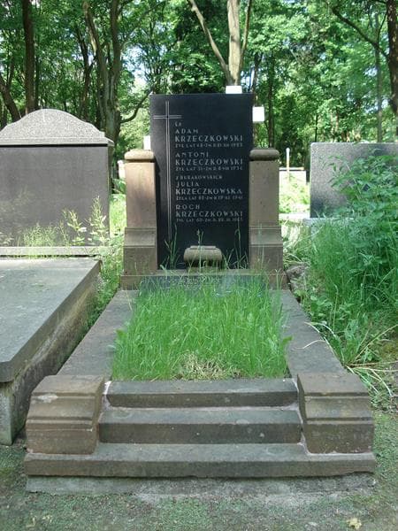 Zdjęcie grobu: Roch Krzeczkowski