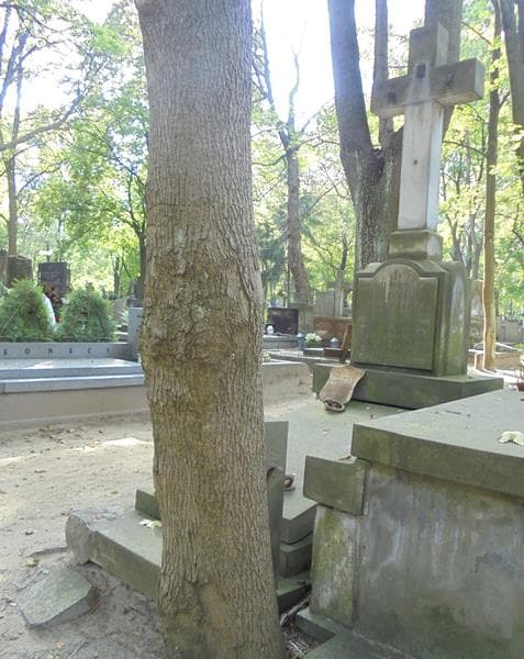 Zdjęcie grobu Józef Władysław Hellwig (2)