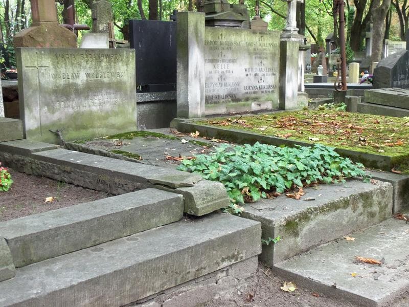 Zdjęcie grobu Maria Baranowska (1)
