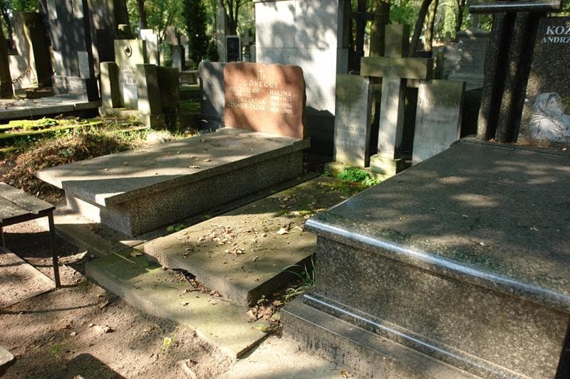Zdjęcie grobu Jadwiga Janiszewska (1)
