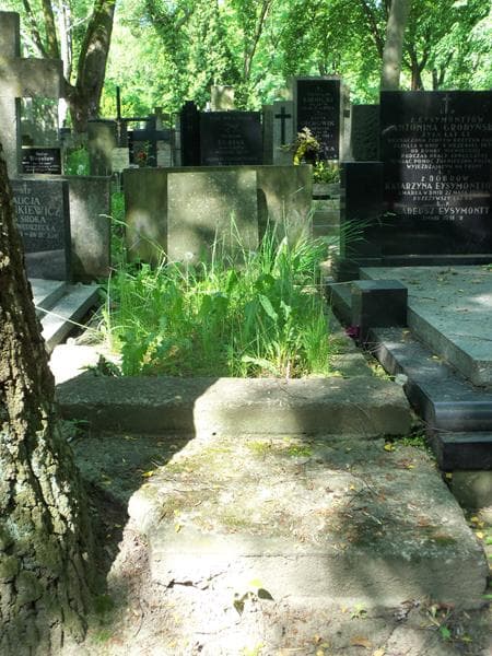 Zdjęcie grobu: Małgosia Krzyżanowska