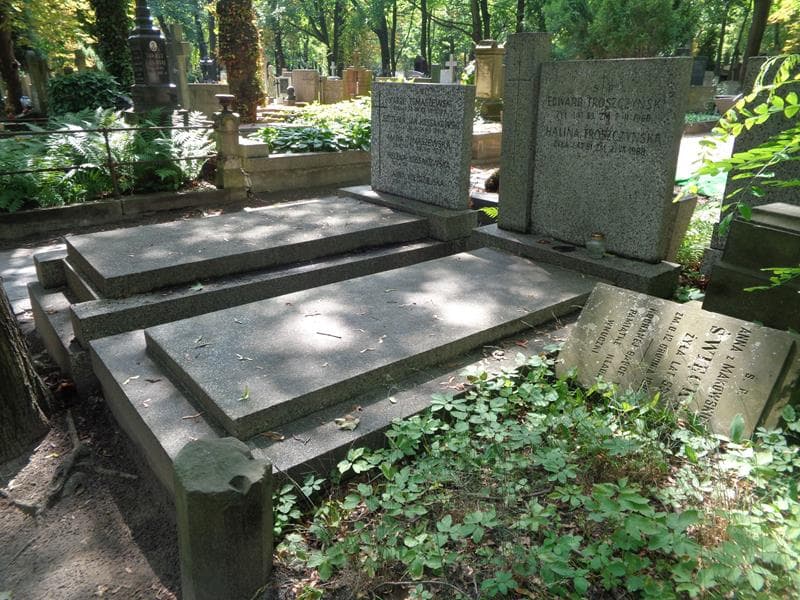 Zdjęcie grobu: Halina Troszczyńska