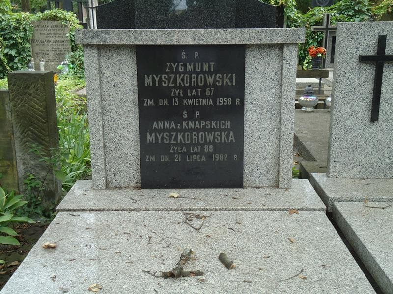 Zdjęcie grobu Zygmunt Myszkorowski (2)