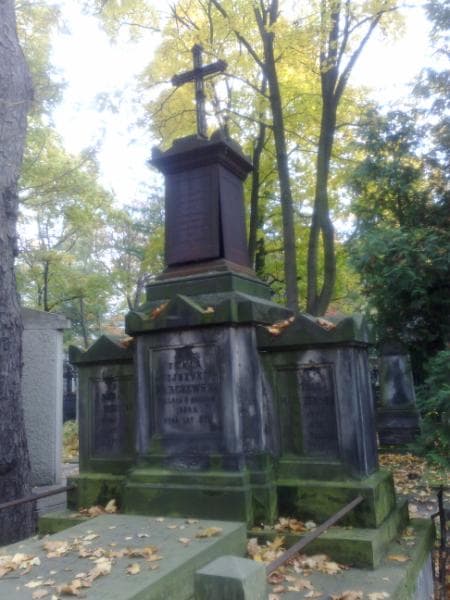 Zdjęcie grobu Witold Marczewski (1)