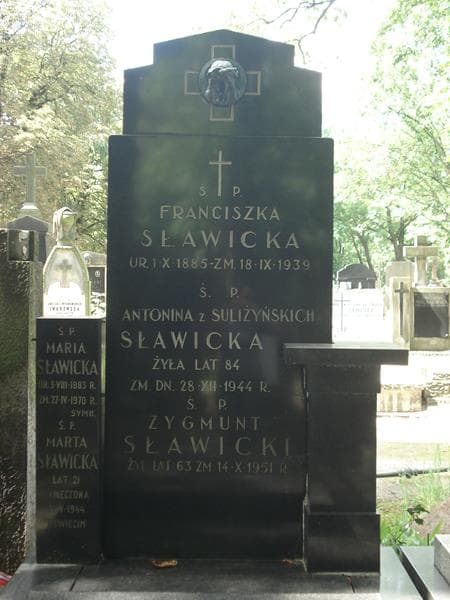 Zdjęcie grobu Antonina Sławicka (2)