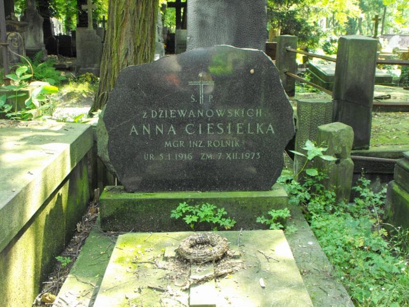 Zdjęcie grobu Anna Ciesielka (1)